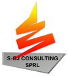 s-gj consulting logo